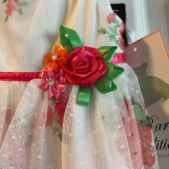 NWT Rare Editions Spring dress 24 months - Picture 2 of 5